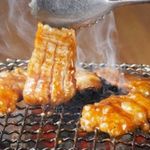 ホルモン道場 寄り本舗 - 料理写真