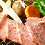 ホルモン道場 寄り本舗 - 料理写真