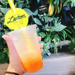 Brooklyn Lemon - 