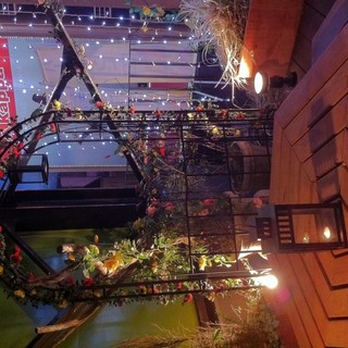 ダブリンガーデン_1