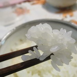 ウオロク - 料理写真:艶よく米が光立ってます