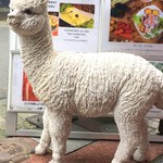 ペルー料理＆バル ALDO - アルパカ？ちゃんがお出迎え