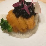 レミニセンス - 