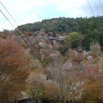 如意輪寺　お茶処 - 2011-04-19如意輪寺