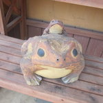 Rico - ＲＩＣＯの主です。なでると福がカエル！？