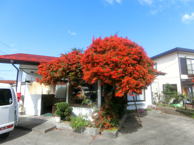 そば処 南洲 四郎丸店（そばどころなんしゅう） - 南仙台（そば）の写真