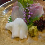 たか瀬 - お造り