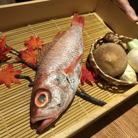 のどぐろ専門 銀座 中俣 - 