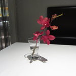 レフェルヴェソンス - 半個室に飾られた生花（11.3月）