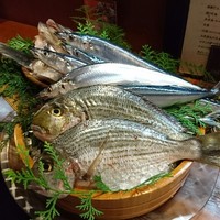 魚めし 竹亭 - 