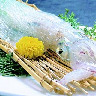 Yobuko's squid is only 1,100 yen! Fresh seafood at affordable prices○