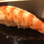 鮨桂太 - 車海老