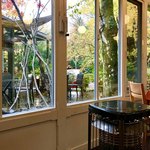 Majikamento Bibacco - オランジェリーのような店内から紅葉を1