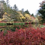 マジカメンテ ビバッコ - 前日の雲場池2