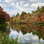 マジカメンテ ビバッコ - 前日の雲場池1