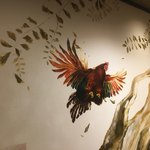 中華蕎麦 時雨 - 