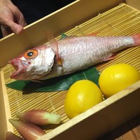 のどぐろ専門 銀座 中俣 - 