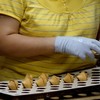 Golden Gate Fortune Cookie Factory - 料理写真: