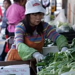 Golden Gate Fortune Cookie Factory - 
