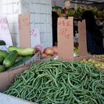 Golden Gate Fortune Cookie Factory - 