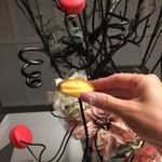 グランド ダイア - 