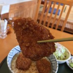 志多美屋本店 - 志多美屋本店(群馬県桐生市浜松町) ソースかつ丼(4個入り)