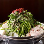 裏路地酒場 アジア麺 樹