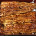 鰻はし本 - 泰正オーガニックのトビ鰻重