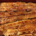 鰻はし本 - 泰正オーガニックのトビ鰻重