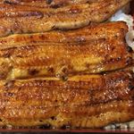 鰻はし本 - 泰正オーガニックのトビ鰻重