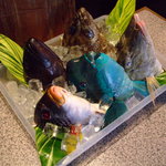 南島食楽園 - 魚カブトのあら煮、またはマース煮でどうぞ。