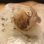 梅乃寿司 - 2011/04　トリガイ。ぴちぴち