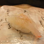 梅乃寿司 - 2011/04　ぼたんえび
