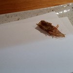 加とう - 2017/9/3 天ぷら定食2,000円