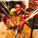 セララバアド - 