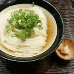 うどん 丸香 - 冷やかけ中盛　480円　美味しそうなビジュアル！