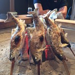 柳家 - 雨子塩焼き