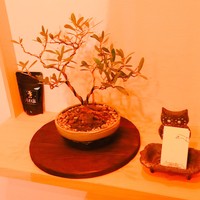 セルサルサーレ - 可愛い置物＾＾あ、ちゃんと塩もある(笑)