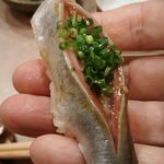 鮨処 多田 - にぎり 鰯イワシ 2017年10月