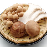 Shiitake mushrooms/Eringi mushrooms