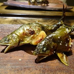 御料理 光安 - ◆子持ち鮎の塩焼き。いつもながら躍動感ある盛り付けが美しい・・