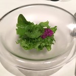 レストラン オオツ - サラダ