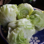 はなこども - とれたてレタス