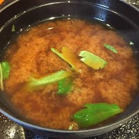 魚竹 - 