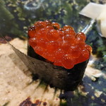 鮨松榮 - 生いくら