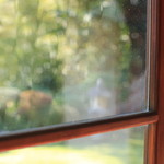 カフェ清閑亭 - 昔のガラスなので、ゆがんで味があります