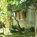 カフェ清閑亭 - 蔵もあります