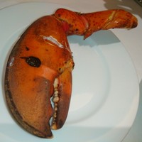 Empire Steak House Roppongi - 