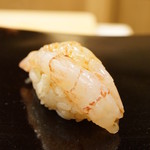 日本橋蛎殻町 すぎた - 北海道増毛の縞海老（2017/7）