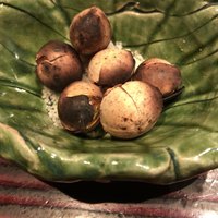 野口太郎 - 